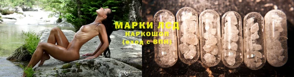 спайс Кинешма