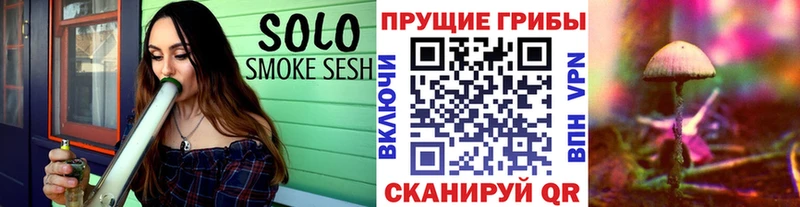 Псилоцибиновые грибы MAGIC MUSHROOMS  Купить где  Чита 